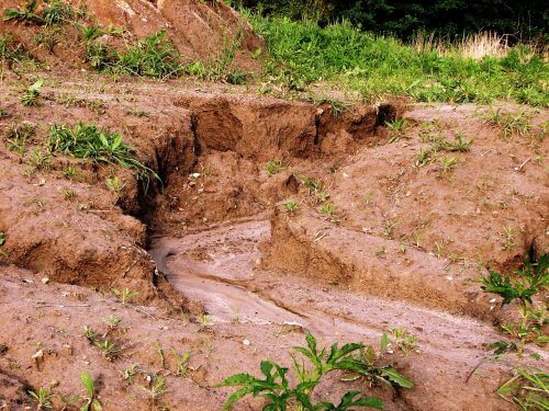 Landslide due to rain. An important and inexhaustible resource. Photo: Lee R. DeHaan / wikimedia.