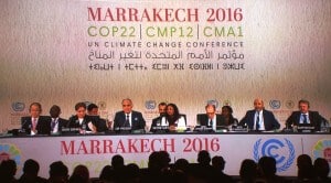 The opening ceremony of the climate conference in Marrakesh. Photo: Takver, Flickr