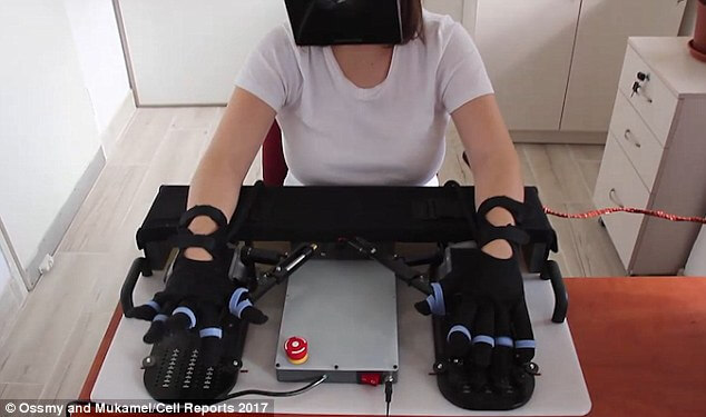 Moving hands using virtual reality. Photo: Prof. Roi Mochmal and Uri Osami, Tel Aviv University