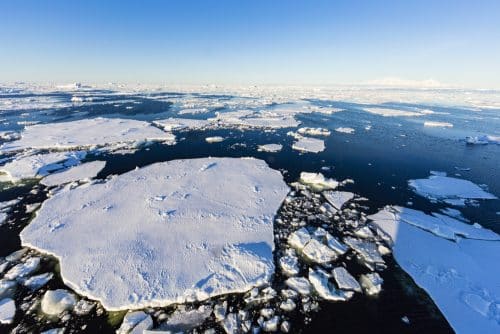 Antarctic sea ice. Photo: shutterstock