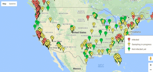 Map of the distribution of the enslaving flies. Source: zombiewatch.