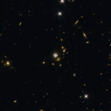 הקוואזר HE0435-1223 הנמצא במרכז התמונה רחבת השדה הוא בין חמשת הקוואזרים המעודשים הטובים ביותר שהתגלו עד כה. הגלקסיה שנמצאת בינו לבינינו יוצרת ארבע תמונות אחידות של הקוואזר המרוחק סביב הקוואזר האמתי. Credit: ESA/Hubble, NASA, Suyu et al.