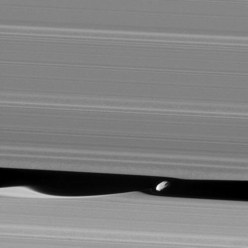 הצילום החדש של קאסיני בו נראה הירחון דפניס במרווח שבין טבעותיו של שבתאי, וכן ניתן לראות גם את ההשפעה הכבידתית שלו על הטבעות ב"גלים" שנוצרים בטבעות. מקור: נאס"א.