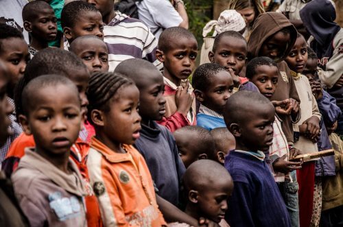 חלדים בקניה. מעתה ועד 2050 יתחולל בחלק מארצות אפריקה גידול אוכלוסייה מהיר שיפעיל לחצים על אספקת המזון ועלול להוביל למחסור, כמו במשבר הנוכחי בדרום סודן. צילום: Evandro Sudré.