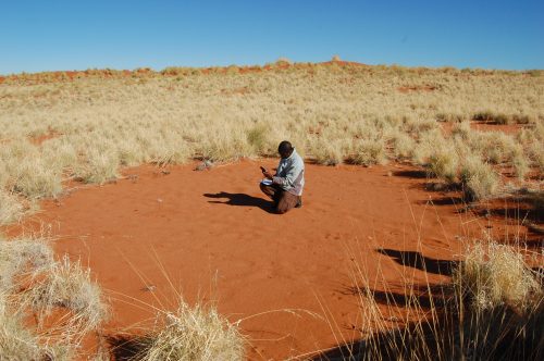 A circle of fairies in Namibia. Source: Jeremy T. Hetzel.