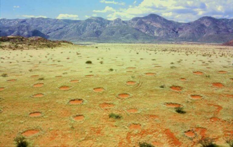 Fairy circles in Namibia. Source: Thorsten Becker.