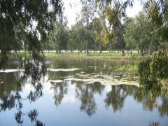 בריכת החורף בחניון בג'וריה בנטור. צילום: אורנה לוטן, Wikimedia.