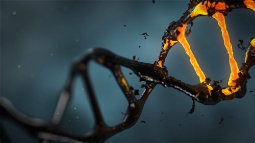 הקשר בין גנטיקה ובין סרטן הוא קשר סבוך ובלתי מפוענח. אילוסטרציה: pixabay.com.