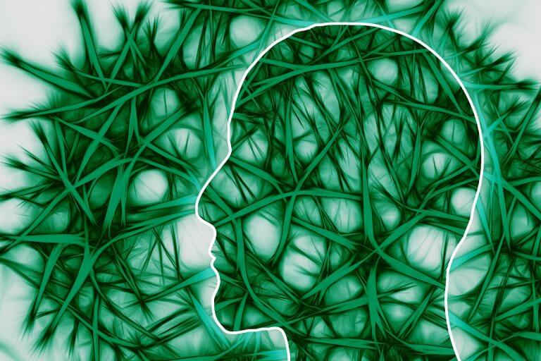 ייתכן שהגֶן הגורם למחלה הניוונית הקשה של מערכת העצבים היה חיוני באבולוציה שלנו. אילוסטרציה: pixabay.com.