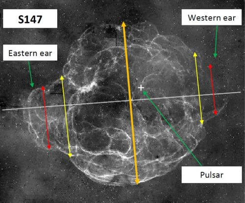 In the drawing, a supernova remnant is shown, and the "ears" are marked with an annular line. From Dubner et al. 2013