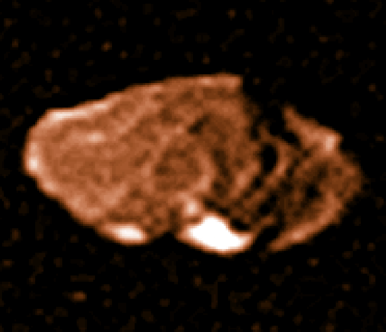 Amalthea as photographed by one of the Voyager 1 spacecraft in 1979. Source: NASA/Calvin J. Hamilton.