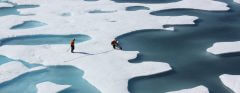 משטחי קרח בקוטב הצפוני. תצלום: NASA