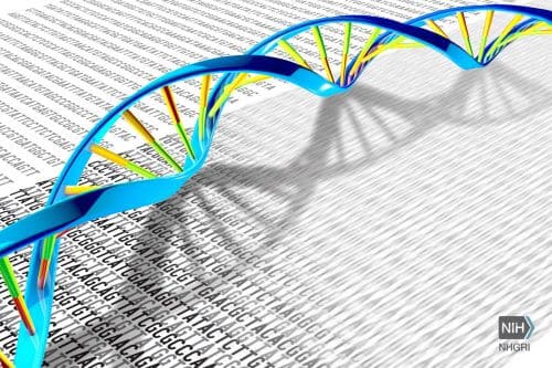 Reciprocal reactions between drugs and the patients' genes may have a negative effect on the effect of the drugs and even endanger the patients' lives. Genetic testing may prevent this and help find an alternative drug. Illustration: National Human Genome Research Institute.