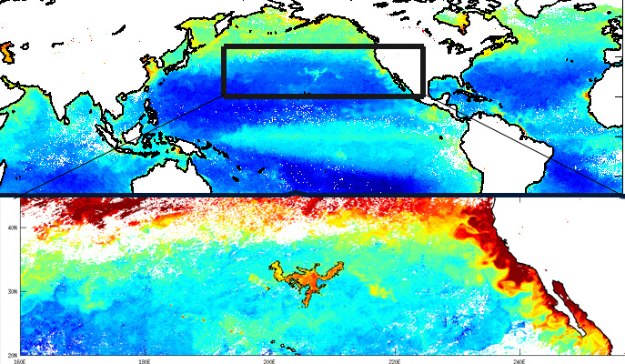 A bloom that can also be detected from space. In the upper photograph: the concentration of chlorophyll on the surface of the sea as photographed by a NASA satellite in October 2007. The lower photograph - a close-up of the area defined in the upper photograph. Source: Weizmann Institute magazine.