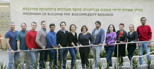Prof. Irit Sagi (in the center, in black) and her group members. "Now we understand that the connective tissue is a kind of 'warehouse' that stores controlled signals that affect the functioning of all body cells." Source: Weizmann Institute magazine.