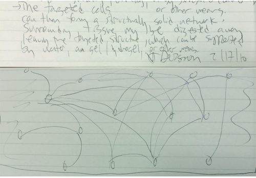 A preliminary sketch in the author's lab notebook in early 2010 describes the idea for building a hydrogel in tissue and removing other components. Courtesy of Carl Dysroth, Stanford University.