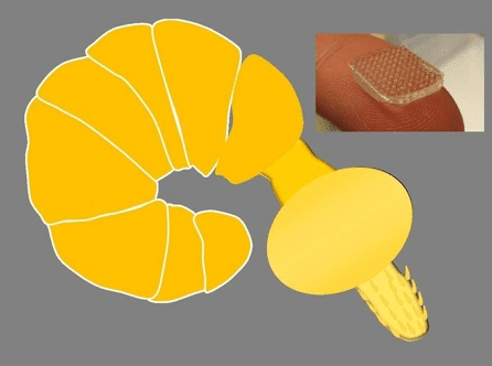 The innovative bandage based on a parasitic worm called Pomphorhynchus laevis. Photo courtesy of Dr.Karp.