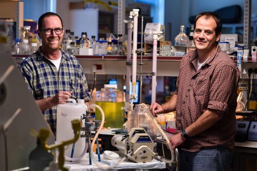 Prof. Oded Beja (left) and Dr. Alon Filosof (right). Photo: Nitzan Zohar, Technion Spokesperson.