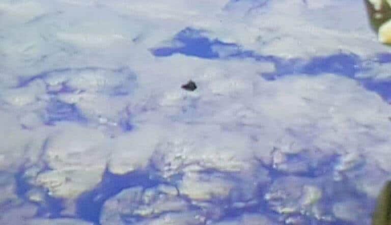 Duchifat 2 goes into orbit in space (screen shot, ISS).