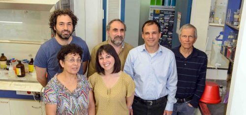 Close cooperation formed between a laboratory focused on molecular processes in mitochondria and a laboratory engaged in brain research. From right to left: Itai Aloni, Dr. Judith Salzman, Antonella Ruggiero, Dr. Edward Kurkotian, Prof. Eitan Gross and Prof. Menachem Segal. Source: Weizmann Institute magazine.