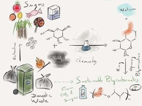A graphic illustration depicting how sugar and carbon dioxide are converted into plastic. Courtesy of Georgina Gregory.