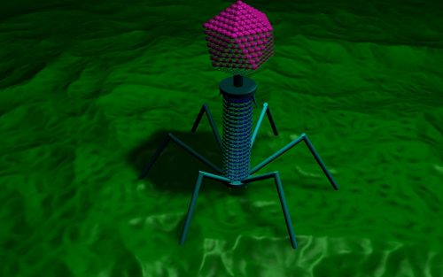 Bacteriophage simulation. Source: naturalismus.