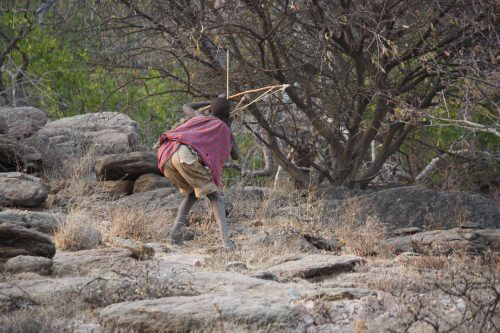 A Hadza boy shoots a bow and arrow. Photo: Thiery.