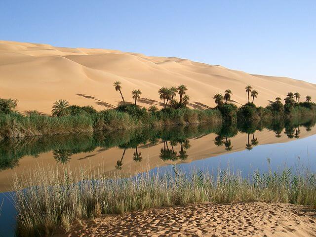 An oasis in Libya. From Wikipedia