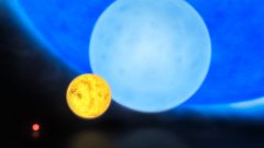 השוואה בין גדלי סוגי כוכבים שונים. משמאל לימין: ננס אדום, עם מסה של כ-0.1 זו של השמש; "ננס צהוב", כמו השמש שלנו; "ננס כחול" שלו כ-8 מסות שמש; והכוכב הענק R136a1, שלו כ-300 מסות שמש. מקור: ESO/M. Kornmesser.