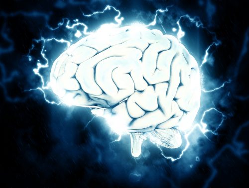 בנייה של מוח שלם בצלוחית מעבדה בלתי אפשרית, אבל מדענים כן בונים רקמה תאית הדומה מאוד למוח העוברי המתפתח. איור: pixabay.com.