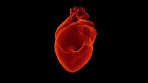 הלב מסוגל להצמיח כלי דם המסוגלים להזרים דם בנתיבים עוקפים לאחר התקף לב. ואולם, לא אצל כל החולים התהליך מתרחש ביעילות. מומחים מנסים למצוא דרכים להמריץ את התהליך. איור: pixabay.