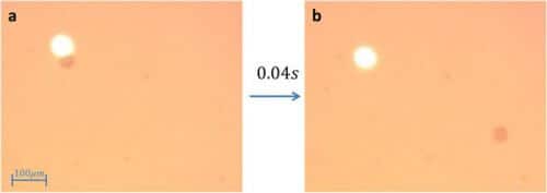 Researchers demonstrate a bubble produced from light and used to propel micro-particles. Panel (a) shows the circular particle, with a diameter of 42 μm, and the laser beam, with a size of 405 nm, as the dark and light circles, respectively. In panel (b), 40 milliseconds later, the microcircle has traveled ten times its distance. Source: Ben Gurion University.