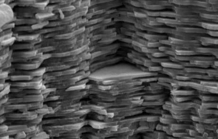 Electron microscope photograph of the mother of pearl layer. Source: Fabian Heinemann / Wikimedia.