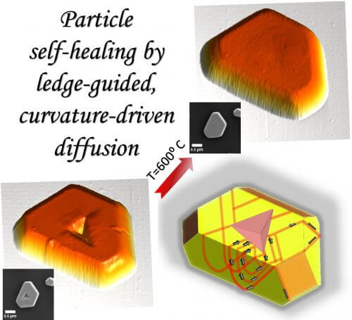 Microscope images of the "spiked" particle (in the lower left corner) and of the particle after thermal treatment at a temperature of 600 degrees Celsius (in the upper right corner). The images in gray were taken with a scanning electron microscope, while the color images were obtained with an atomic force microscope. The lower right diagram demonstrates the "wandering" of the gold atom along the steps and its return to the heel at the top of the particle. The "wandering", or diffusion, is a classic example of an irreversible process; The plastic deformation is an irreversible process, so it is surprising that the combination of two irreversible processes (the deformation of the particle using a sharp needle and diffusion on the surface of the particle) leads to a reversible process - the restoration of the original shape of the particle. Source: Courtesy of the Technion.