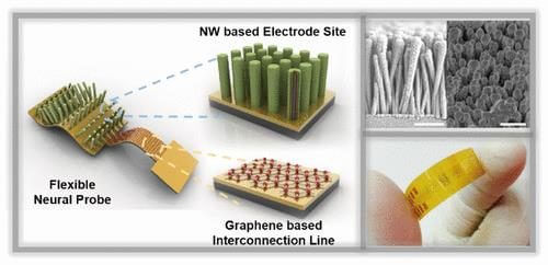 Graphene and gold make brain detectors more efficient. Illustration from the article. Courtesy: DGIST.