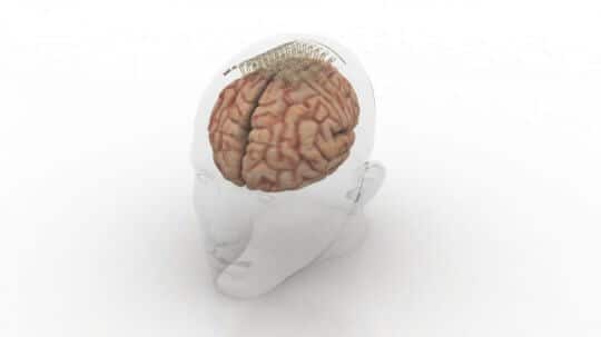 Graphene and gold make brain detectors more efficient. Courtesy: DGIST.