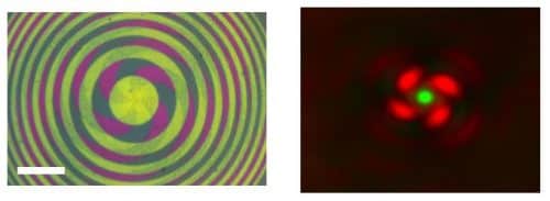 הדגמה של שימוש במיקרוסקופ STED. "דימוי של נקודה ירוקה בתוך סופגנייה אדומה". קנה מידה: 1 מיקרומטר מימין, 35 מיקרומטר משמאל. מקור: מגזין מכון ויצמן.
