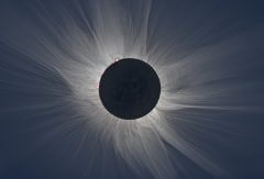 במהלך ליקוי חמה העטרה של השמש הופכת גלויה למשקיפים על כדור הארץ. מקור: נאס"א.
