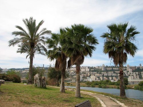 פארק הקישון במפרץ חיפה. צילום: Hanay, Wikimedia.