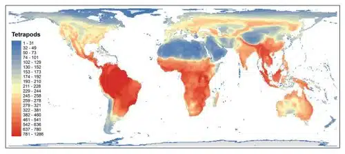 World reptile species density map