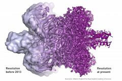 דוגמה לשיפור הרזולוציה של ביו-מולקולה: מצד שמאל, לפני שנת 2013; מצד ימין, כיום.