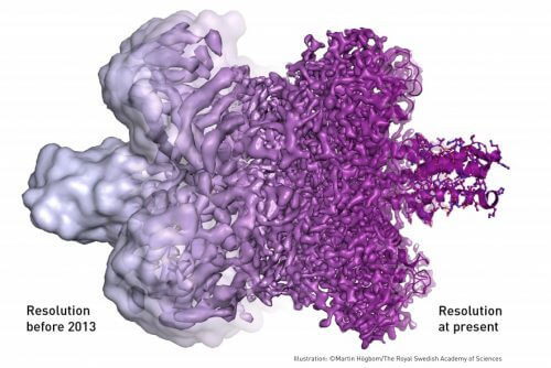 השיטה החדשנית מאפשרת לחוקרים לבחון מולקולות ביולוגיות, כדוגמת נגיף ה'זיקה', ברמת פירוט חסרת תקדים [באדיבות: NobelPrize.org]
