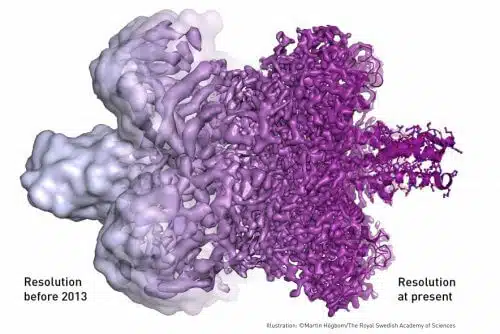 The innovative method allows researchers to examine biological molecules, such as the Zika virus, at an unprecedented level of detail [courtesy: NobelPrize.org]