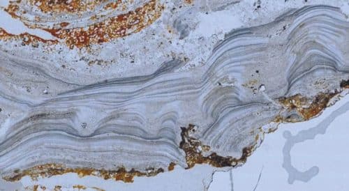 חיים על הסלעים: סלעים כתומים באזור פִּילְבָּרָה באוסטרליה קרויים גייזריט ומורכבים ממינרלים שניתזו מגייזרים במעיינות חמים (1). בחתך מיקרוסקופי אפשר לראות בסלעים פסים כהים אופייניים העשירים בטיטניום, ופסים בהירים המורכבים בעיקר מאשלגן (רוחב של כסנטימטר) (2). בועות זעירות שהשתמרו בגייזריט זה בן 3.5 מיליארדי שנים נוצרו בביופילמים דביקים, התוצרים של יצורים ביולוגיים (3). (באדיבות מרטין ג' ון קרננדונק)