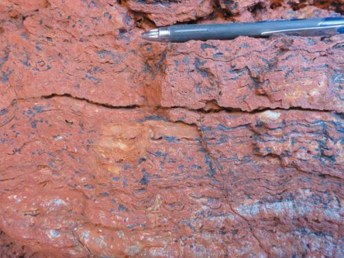 Life on the rocks: orange rocks in the Pilbara region of Australia are called geyserite and are composed of minerals spewed from geysers in hot springs (1). In a microscopic section, one can see in the rocks characteristic dark stripes rich in titanium, and light stripes consisting mainly of potassium (width of about a centimeter) (2). Tiny bubbles preserved in this 3.5-billion-year-old geyserite were formed in sticky biofilms, the products of biological organisms (3). (Courtesy of Martin John Cranendonck)