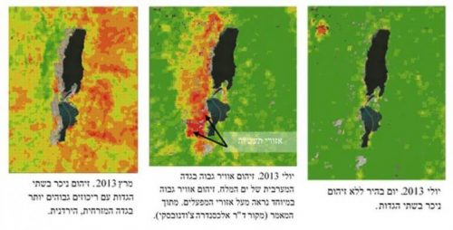 מתוך המחקר.