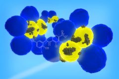 ננו-חלקיקים המסוגלים להעביר באופן ממוקד תרופות לתאי גזע סרטניים (צהוב), אותם תאים נדירים בתוך הגידול (כחול) המאפשרים לגידול לחזור או להתפשט. [באדיבות: Dipanjan Pan]