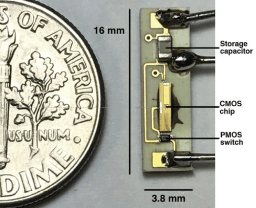 The size of the experimental pacemaker is the size of a coin. Source: Rice University.