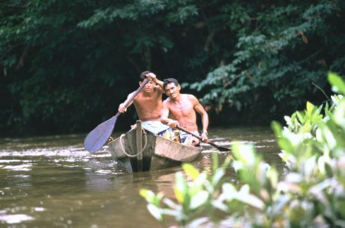 דייגים בנהר האמזונאס, ברזיל. צילום: Julio Pantoja / World Bank.