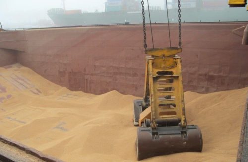 Unloading a seed container at the Port of Ashdod. Photography: Doron Bar-Bornstein.